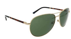 GANT GS 7005 GLD-2 Mens Designer Sunglasses + Case Gold